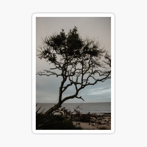 Item preview, Driftwood Beach Tree designed and sold by LindsayVaughn.