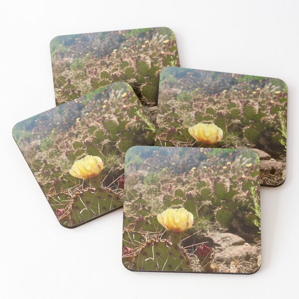 Item preview, Flowering Cacti Field designed and sold by Stephanie Sparks.