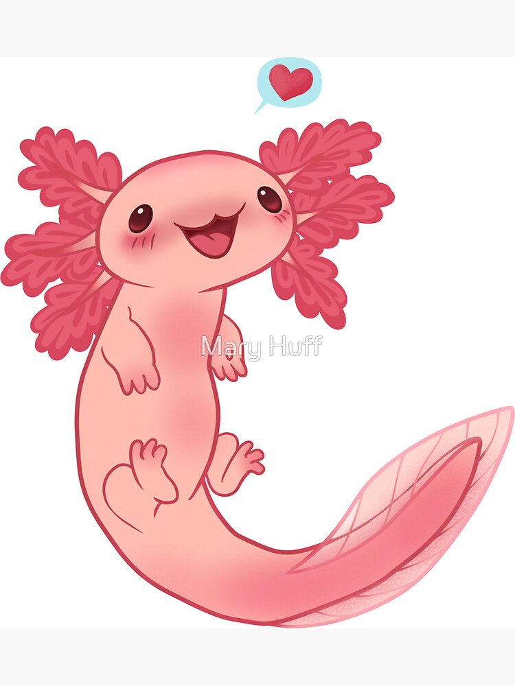 cutie beans axolotl