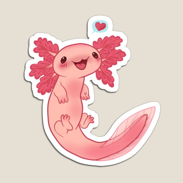 cutie beans axolotl