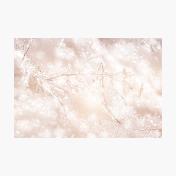 Crystal Wonderland Photographic Print
