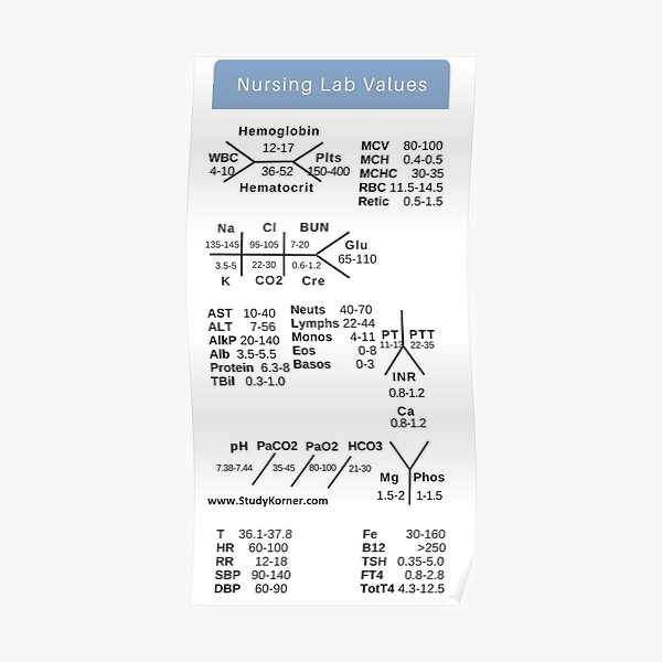 Aide-mémoire Nursing Lab Value Poster
