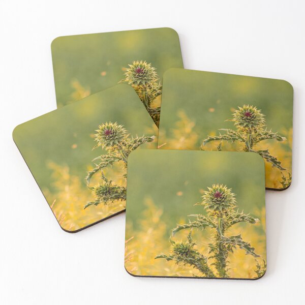 Item preview, Sunshine Thistle designed and sold by KTrott-Photos.