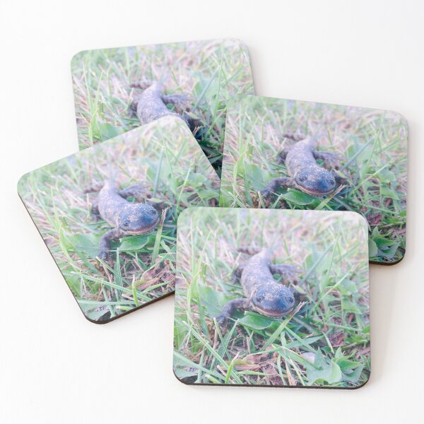Item preview, Sandy Salamander designed and sold by KTrott-Photos.