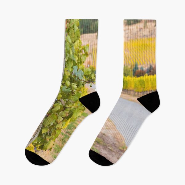 Item preview, Chardonnay Sign in Autumn Vineyard designed and sold by Amy Mitchell.