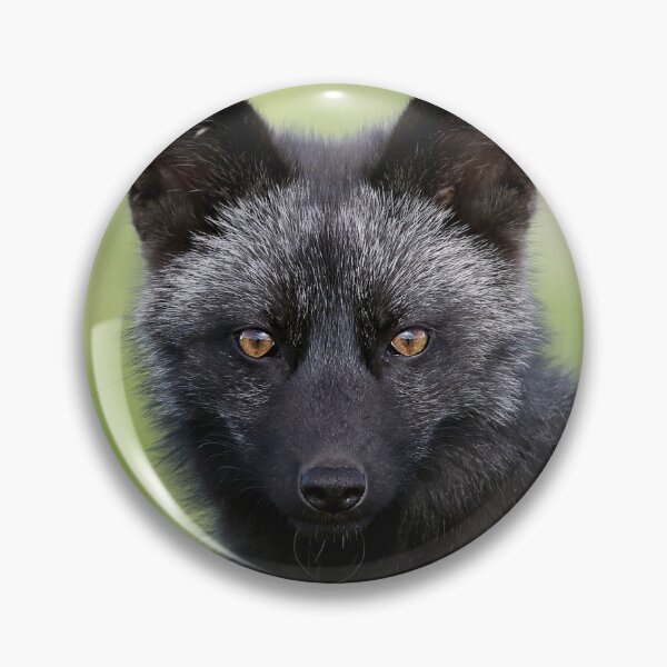 Item preview, Silver Fox Kit designed and sold by mlorenz.