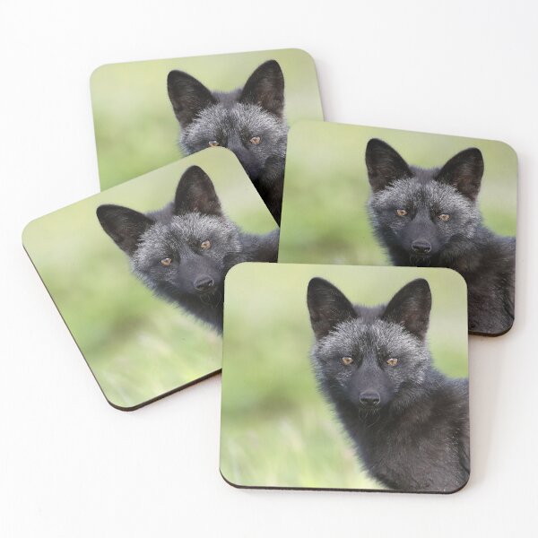 Item preview, Silver Fox Kit designed and sold by mlorenz.