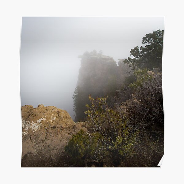 The Rare Grand Canyon covered with puffy fog Poster