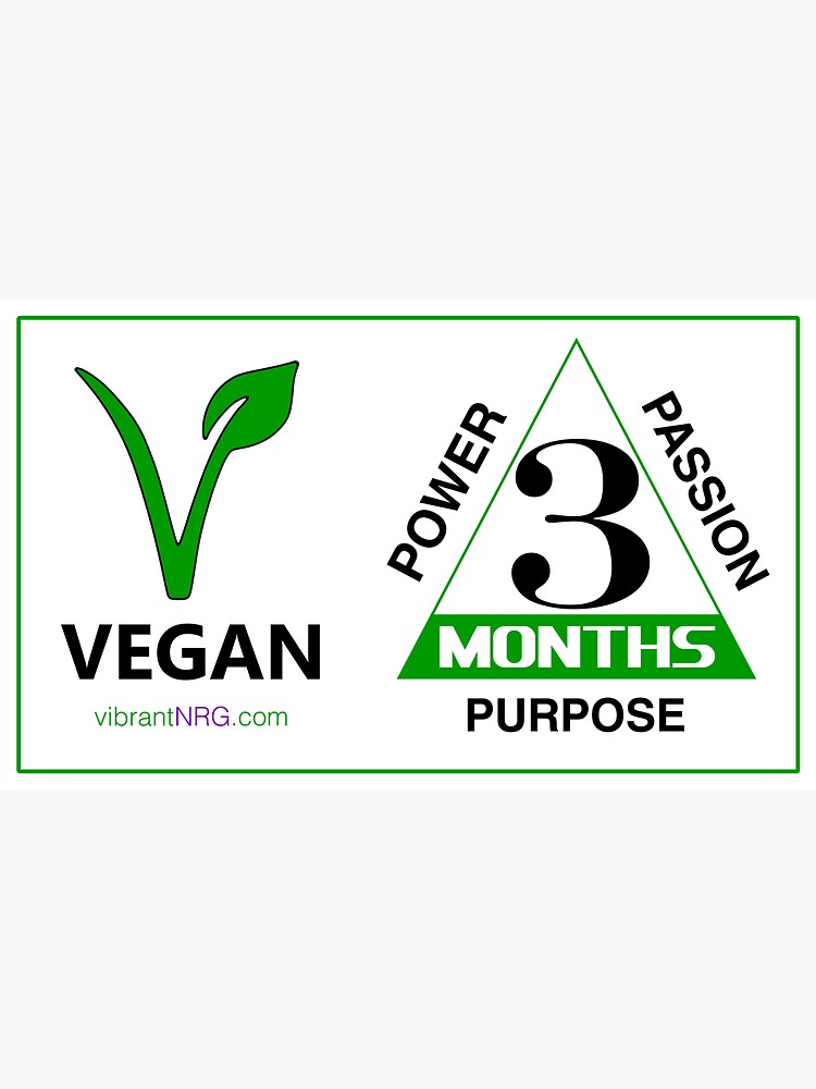 3 Months VEGAN by vibrantNRG
