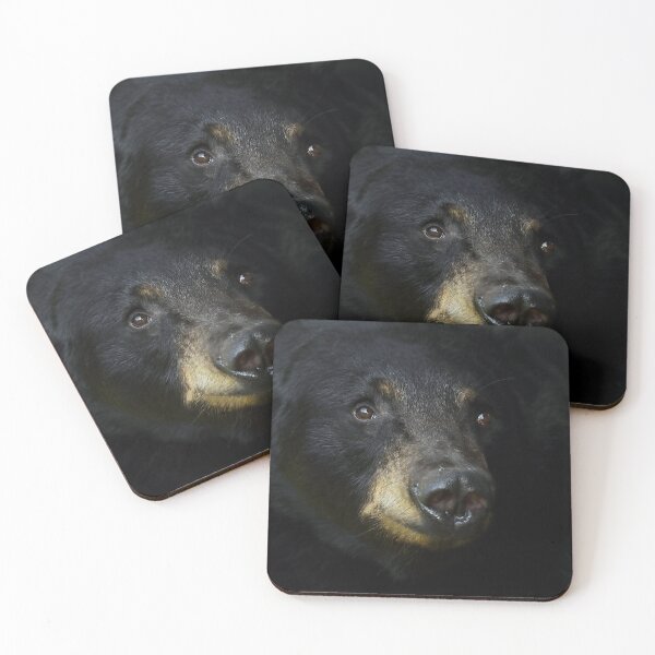 Item preview, Black Bear  designed and sold by mlorenz.