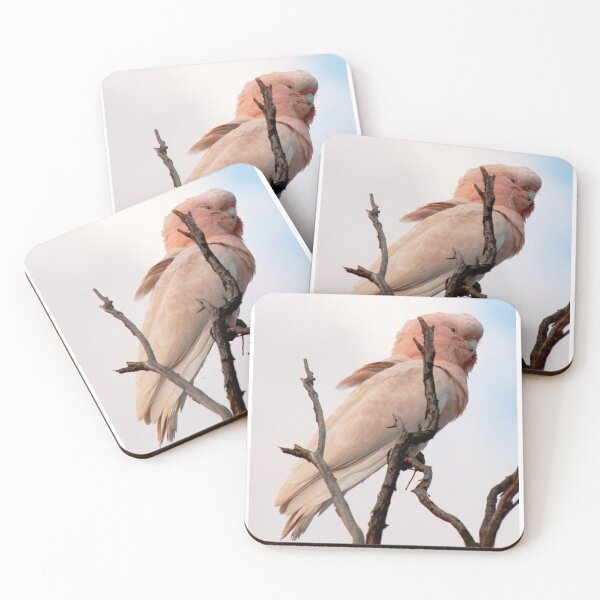 Item preview, Pink cockatoo - Murray Sunset NP Mallee designed and sold by yvonne hyland.