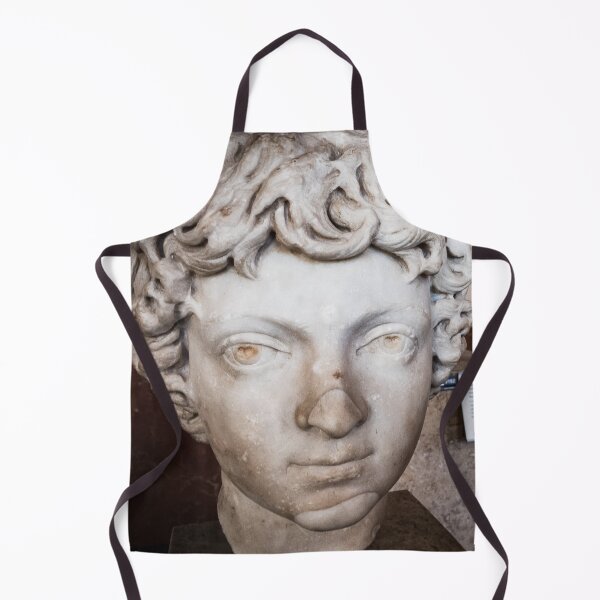 Item preview, Louvre Paris - Bust of Caracalla designed and sold by missioncreek.