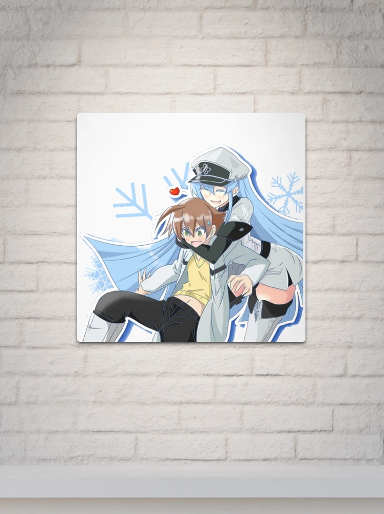 Akame Ga Kill Esdeath' Poster, picture, metal print, paint by