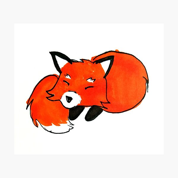 schleepy fox Photographic Print