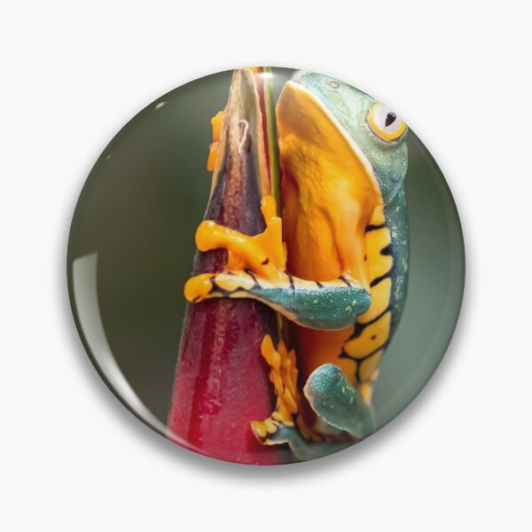 Item preview, Tiger Legged Monkey Tree Frog Green Orange  designed and sold by mwagie.