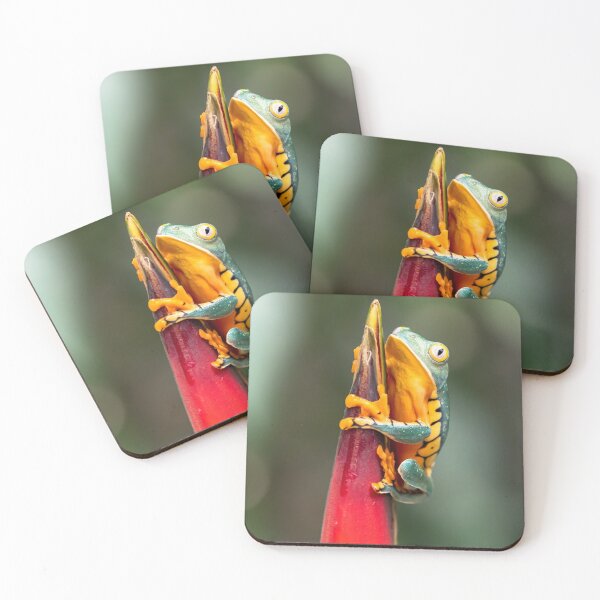 Item preview, Tiger Legged Monkey Tree Frog Green Orange  designed and sold by mwagie.