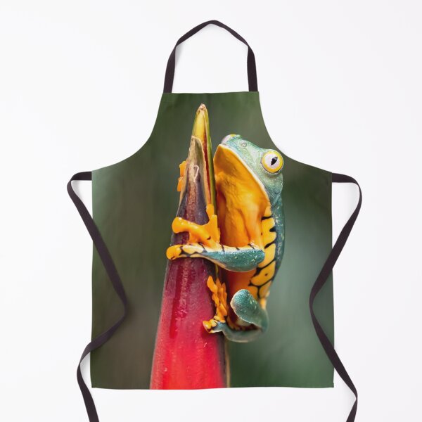 Item preview, Tiger Legged Monkey Tree Frog Green Orange designed and sold by mwagie.