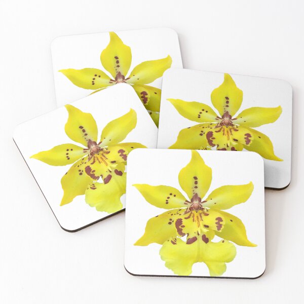Item preview, Orchid designed and sold by Alceon.