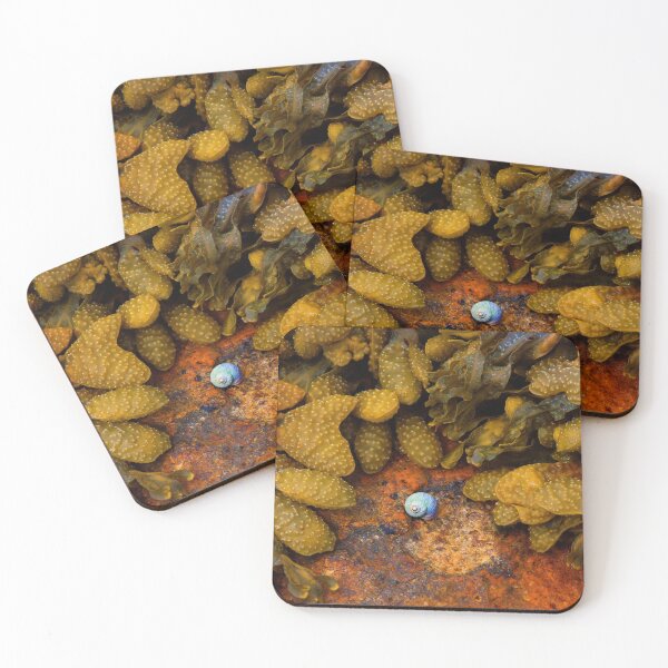 Item preview, Shell and Algae designed and sold by Walsh Arts.