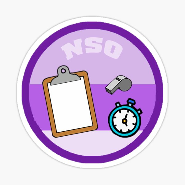 NSO Merit Sticker