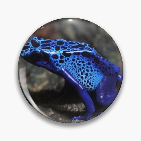 Item preview, Blue Poison Dart Frog, Bright Blue Frog designed and sold by mwagie.