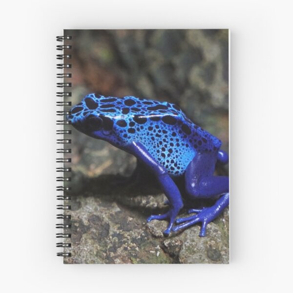 Item preview, Blue Poison Dart Frog, Bright Blue Frog designed and sold by mwagie.