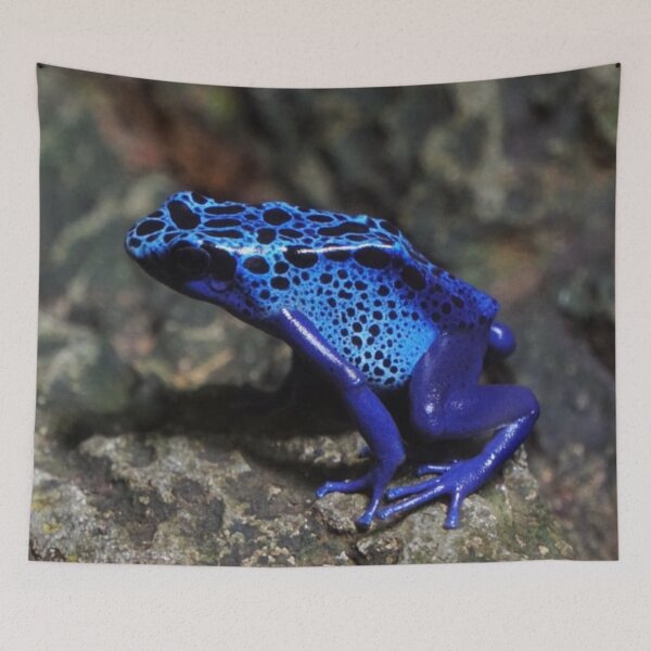 Item preview, Blue Poison Dart Frog, Bright Blue Frog designed and sold by mwagie.