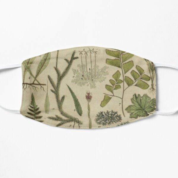 Ferns And Lichen Flat Mask