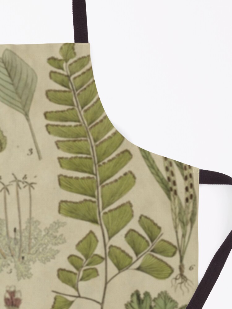 Alternate view of Ferns And Lichen Apron
