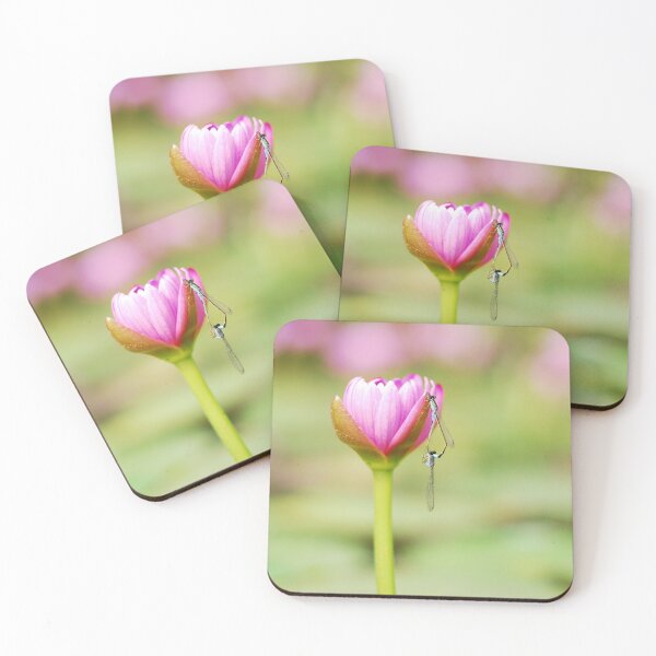 Item preview, FLOWER OF LOVE | Nature Photo designed and sold by PhotoStory.