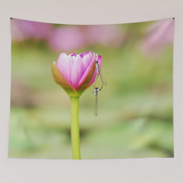 Item preview, FLOWER OF LOVE | Nature Photo designed and sold by PhotoStory.