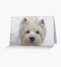 Westie White Greeting Card