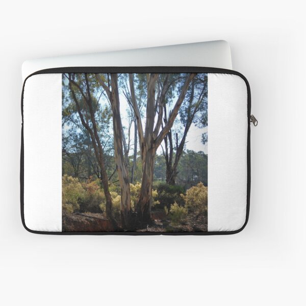 Item preview, Eucalypt's and Wattle by Lorraine McCarthy designed and sold by Lorraine McCarthy.
