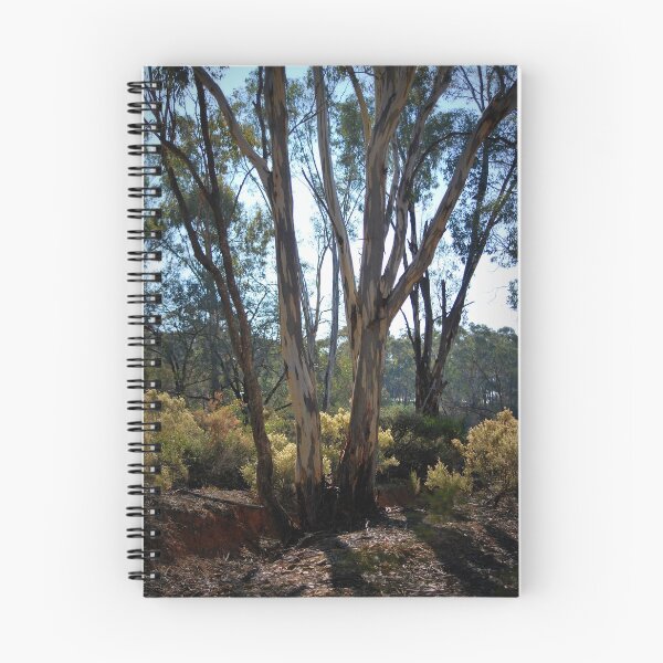 Item preview, Eucalypt's and Wattle by Lorraine McCarthy designed and sold by Lorraine McCarthy.