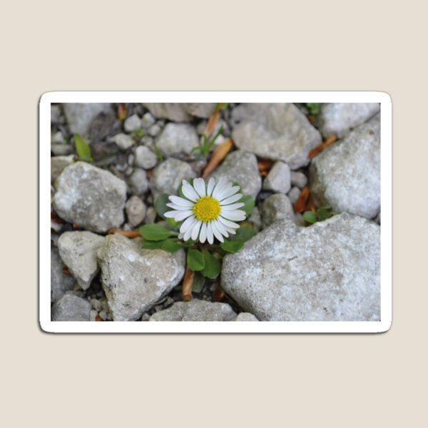 Item preview, Flower designed and sold by Kamya.
