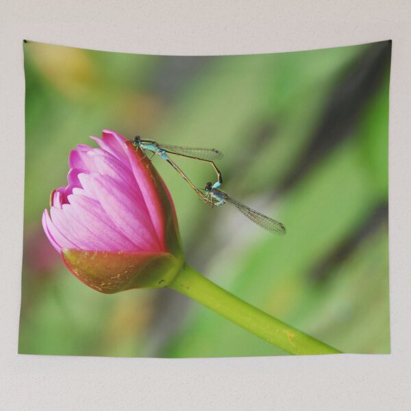 Item preview, DYNAMIC FLOWER LOVE | Nature Photo designed and sold by PhotoStory.
