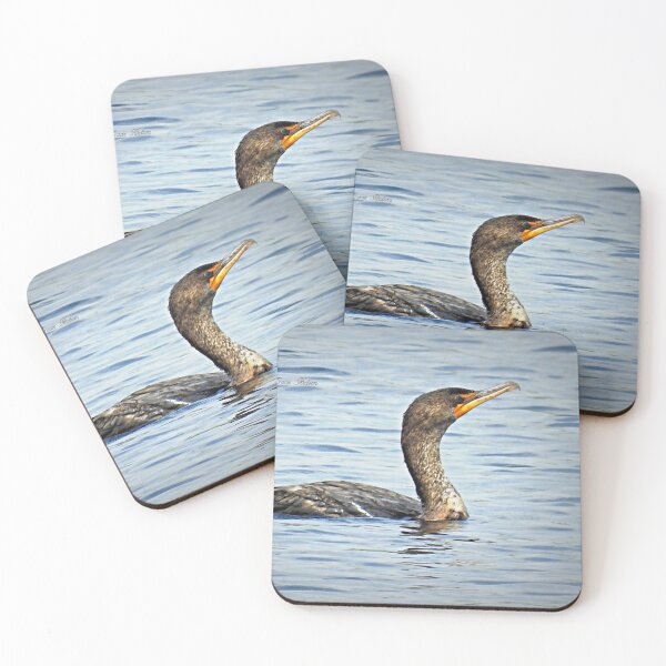 Item preview, Double-Crested Cormorant in Water designed and sold by traceh38.