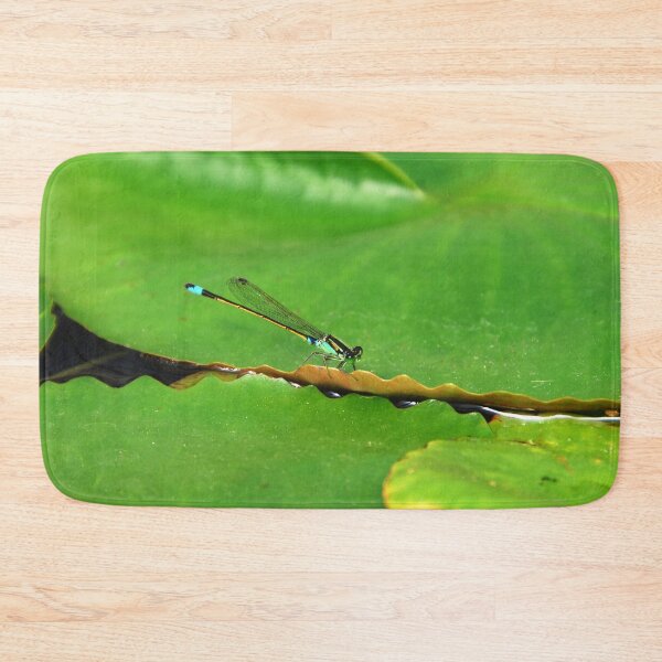 Item preview, DRAGONFLY IN SEARCH | Nature Photo designed and sold by PhotoStory.