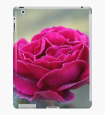 Dew Drops iPad Case/Skin