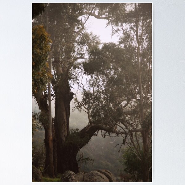 Item preview, Big Old Tree on the Mountain Side by Lorraine McCarthy designed and sold by Lorraine McCarthy.