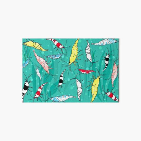 Aquarium Fancy Ornamental Shrimp Art Board Print