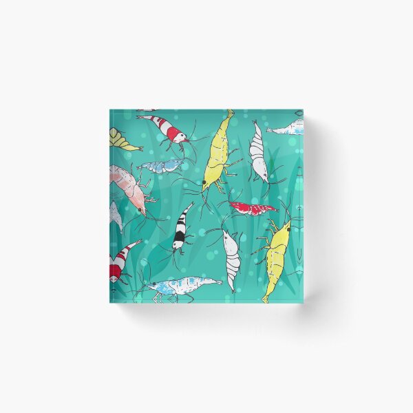 Item preview, Aquarium Fancy Ornamental Shrimp designed and sold by DeAnna Hickman.