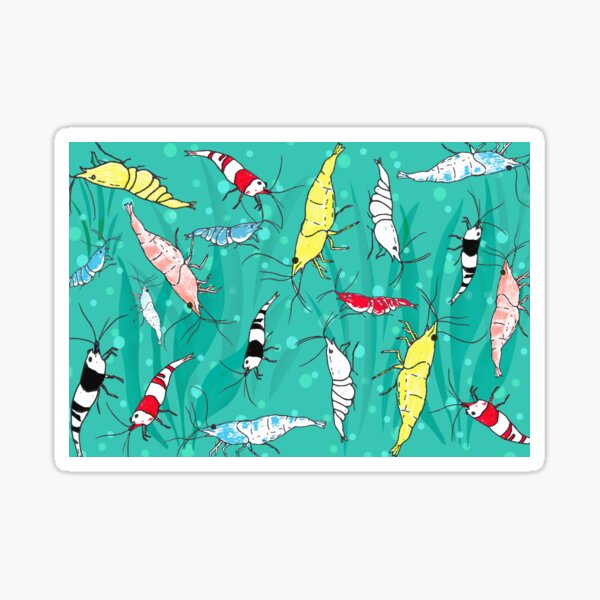 Item preview, Aquarium Fancy Ornamental Shrimp designed and sold by DeAnna Hickman.