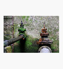 Nature wins! Photographic Print