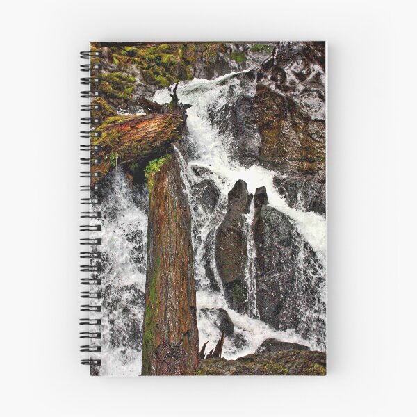 Item preview, Torrent designed and sold by Brent Sisson.