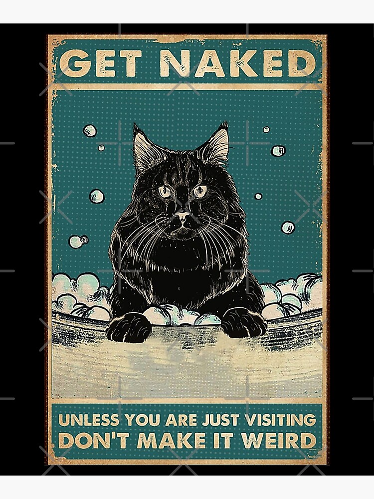 Black Cat Get Naked Unless You Are Just Visiting Don T Make It Weird Funny Gift For Cat Lover