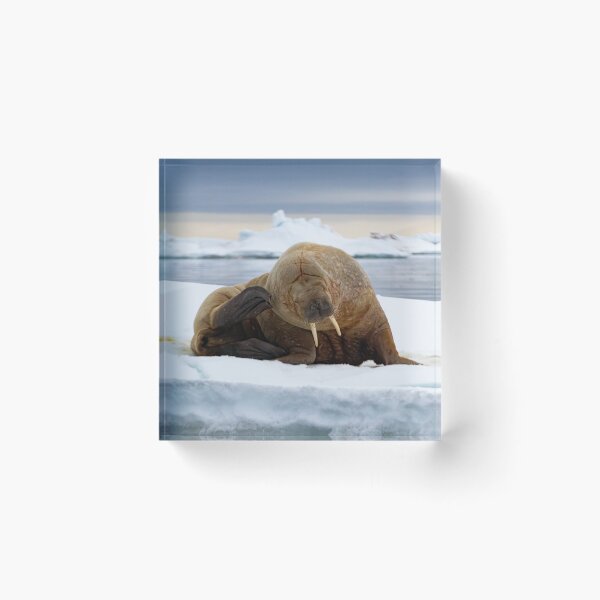 Item preview, Got an Itch! designed and sold by Marylou Badeaux.