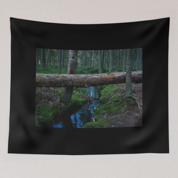 Item preview, Natural bridge. Teijo National Park designed and sold by Jouko Lehto Photography.