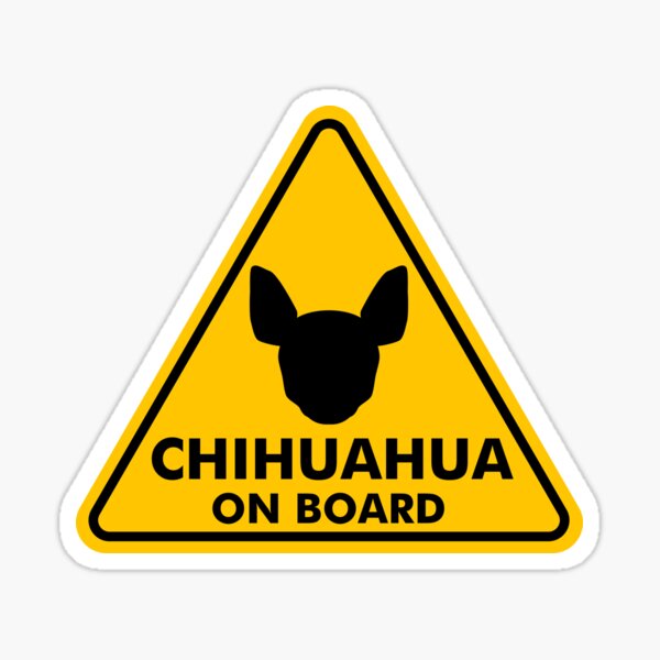 Chihuahua a bordo Pegatina