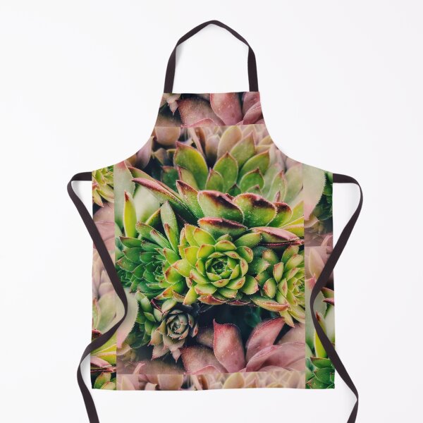 Item preview, Hen & Chick Succulents designed and sold by WingedByJos.